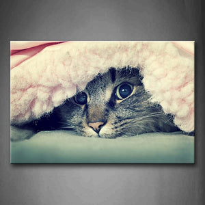 Cat Is Covered Blanket Only Expose Face Wall Art Painting Pictures Print On Canvas Animal The Picture For Home Modern Decoration 