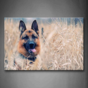 German Shepherd In Dry Thick Grass Wall Art Painting Pictures Print On Canvas Animal The Picture For Home Modern Decoration 