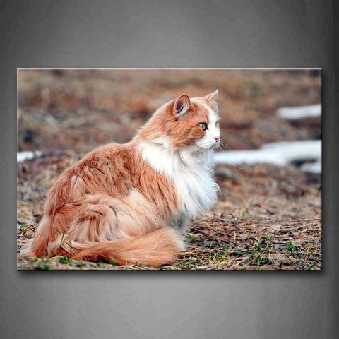 Cat Sit On Dry Grassland Wall Art Painting The Picture Print On Canvas Animal Pictures For Home Decor Decoration Gift 