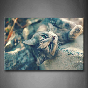 Gray Cat Lie Down On Stone Wall Art Painting Pictures Print On Canvas Animal The Picture For Home Modern Decoration 