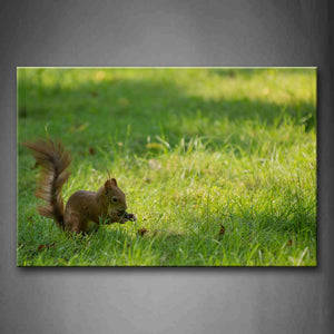 Squirrel Stand On Grass And Eat Food Wall Art Painting The Picture Print On Canvas Animal Pictures For Home Decor Decoration Gift 