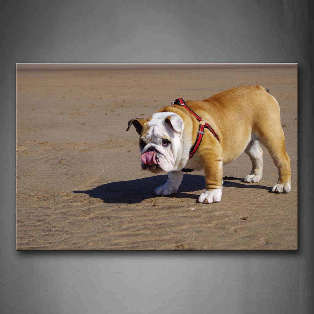 Bulldog Stand On Sandland Wall Art Painting Pictures Print On Canvas Animal The Picture For Home Modern Decoration 