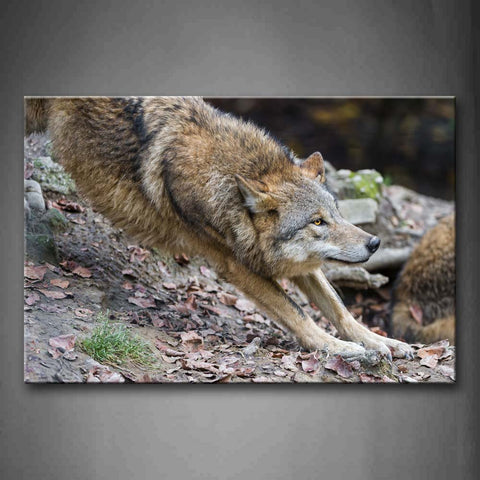 Wolf Stretch Body Fallen Leafs Wall Art Painting Pictures Print On Canvas Animal The Picture For Home Modern Decoration 