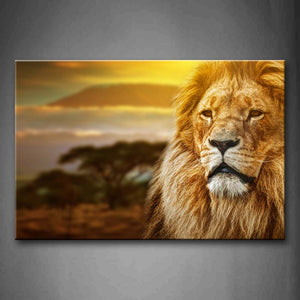 Brown Lion Head Tree Grassland At Dusk Wall Art Painting The Picture Print On Canvas Animal Pictures For Home Decor Decoration Gift 