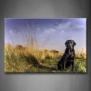 Black Dog Seat On Grass Blue Sky Wall Art Painting The Picture Print On Canvas Animal Pictures For Home Decor Decoration Gift 