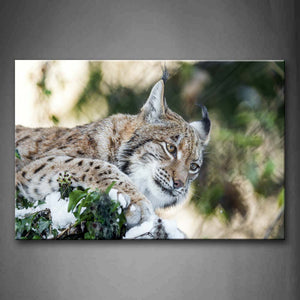 Lynx Bend Over Leafs Snow Wall Art Painting The Picture Print On Canvas Animal Pictures For Home Decor Decoration Gift 