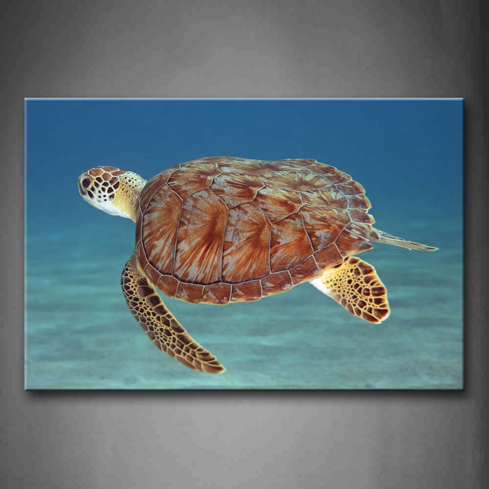 Turtle Swimming In Blue Sea Wall Art Painting Pictures Print On Canvas Animal The Picture For Home Modern Decoration 