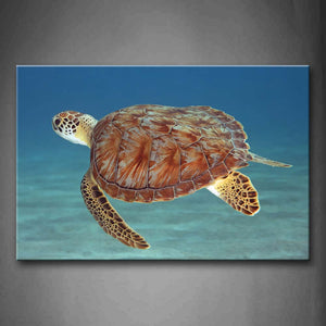 Turtle Swimming In Blue Sea Wall Art Painting Pictures Print On Canvas Animal The Picture For Home Modern Decoration 