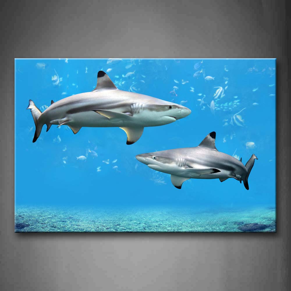 Two Sharks In Blue Sea Seabed Fishs Wall Art Painting The Picture Print On Canvas Animal Pictures For Home Decor Decoration Gift 