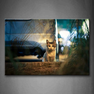 Cat Sit On Land In Front Of Car Grass Wall Art Painting Pictures Print On Canvas Animal The Picture For Home Modern Decoration 