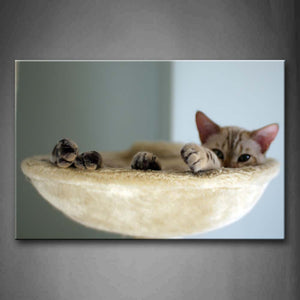 Cute Cat In Bowl Wall Art Painting Pictures Print On Canvas Animal The Picture For Home Modern Decoration 