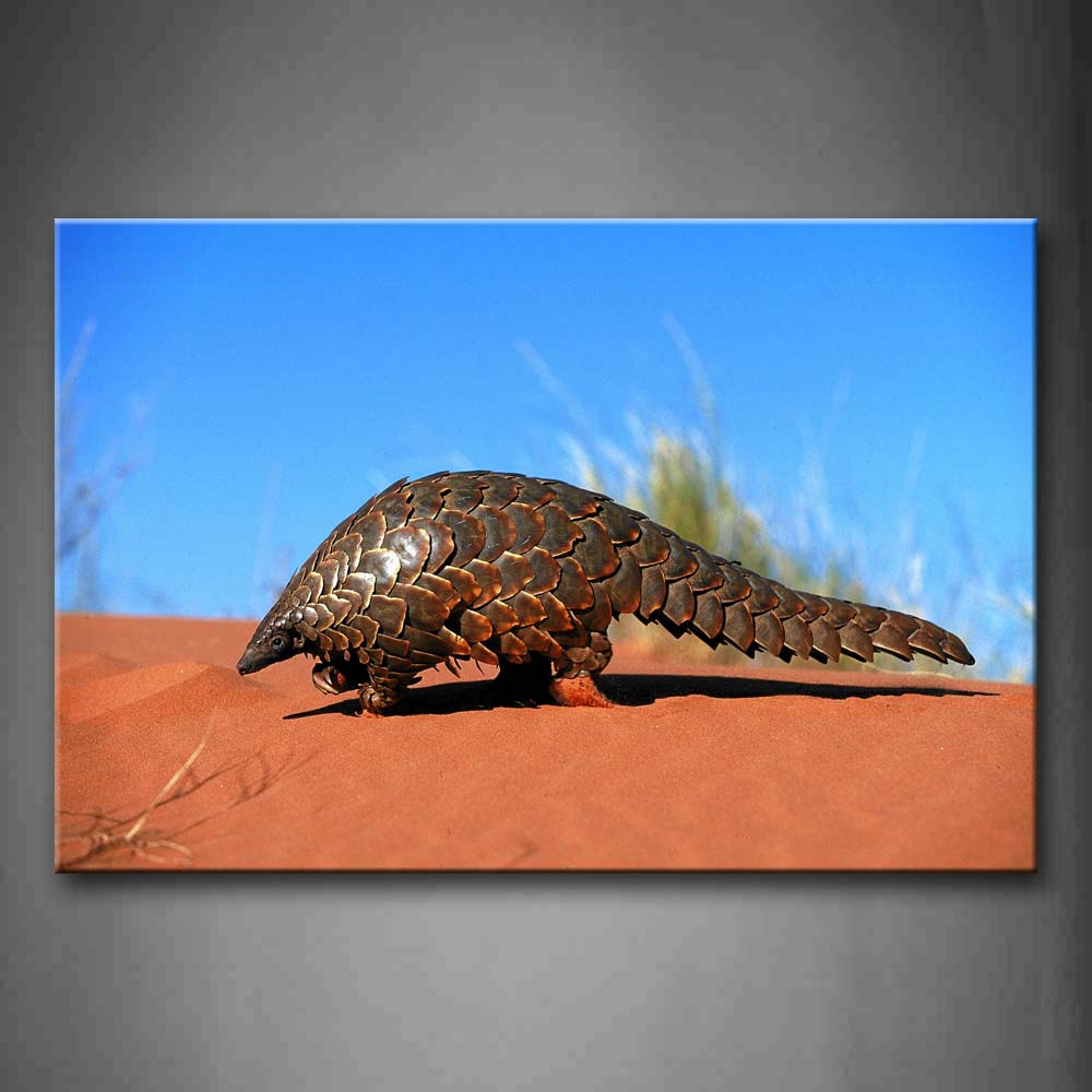 Brown Pangolin Crawl On Desert Grass Wall Art Painting The Picture Print On Canvas Animal Pictures For Home Decor Decoration Gift 