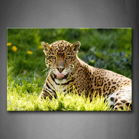 Jaguar Sit On Grass Yellow Flower Wall Art Painting Pictures Print On Canvas Animal The Picture For Home Modern Decoration 