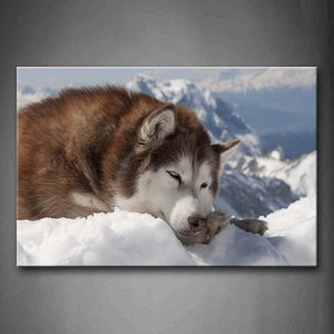 Alaskan Malamute Lie On Snowfield Wall Art Painting Pictures Print On Canvas Animal The Picture For Home Modern Decoration 