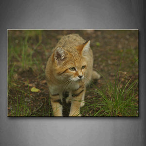 Sand Cat Walk On Mud Land Grass Wall Art Painting The Picture Print On Canvas Animal Pictures For Home Decor Decoration Gift 