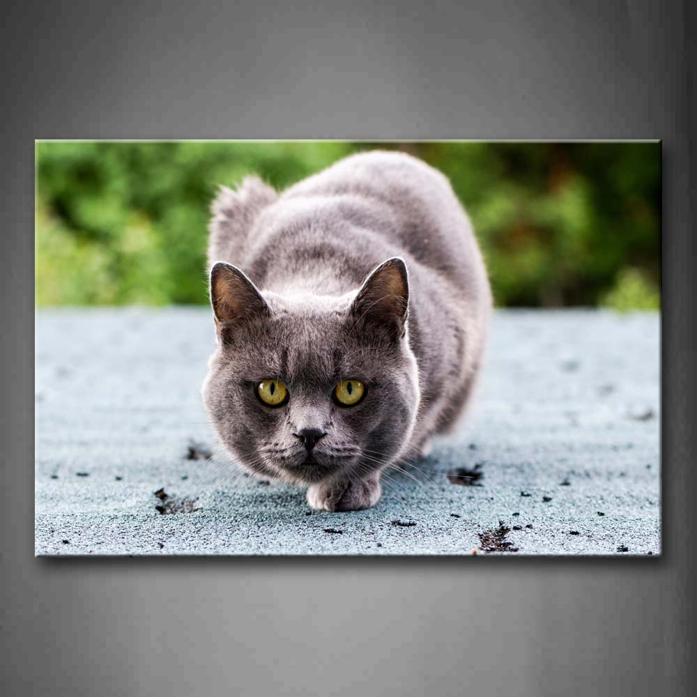 Gray Cat Crawl On Land  Wall Art Painting The Picture Print On Canvas Animal Pictures For Home Decor Decoration Gift 