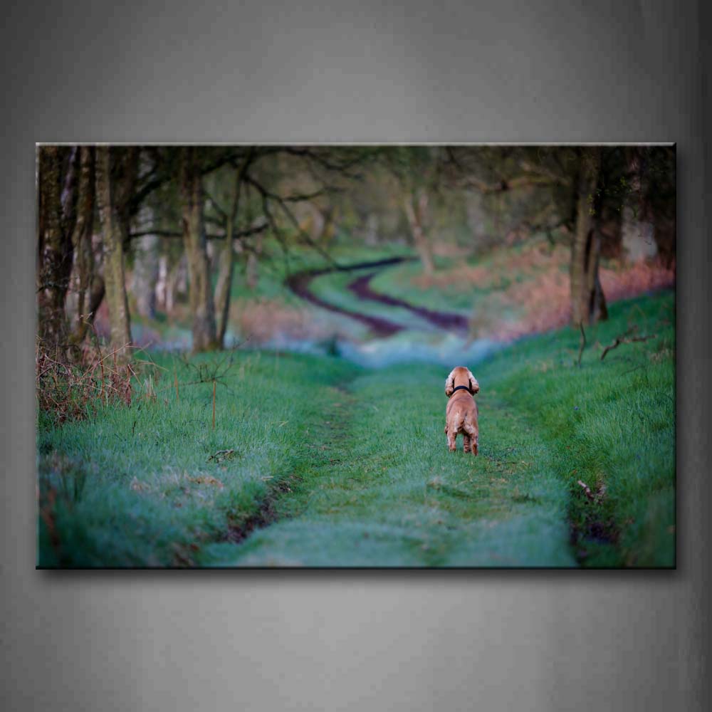 Yellow Dog Walk On Path Between Forest  Grass Wall Art Painting Pictures Print On Canvas Animal The Picture For Home Modern Decoration 