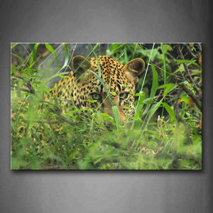 Leopard Stand At The Back Of Grass And Branch Wall Art Painting The Picture Print On Canvas Animal Pictures For Home Decor Decoration Gift 