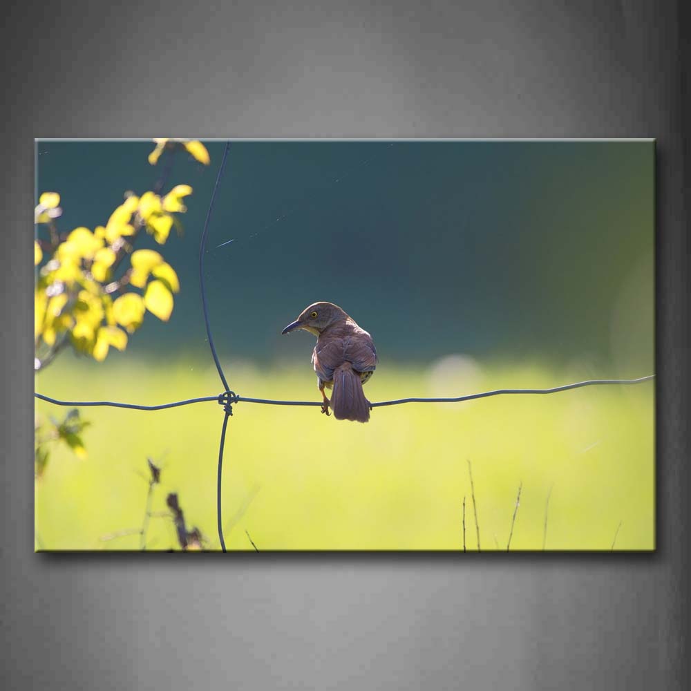 Bird Stop Wire Netting Leafs Wall Art Painting Pictures Print On Canvas Animal The Picture For Home Modern Decoration 