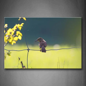 Bird Stop Wire Netting Leafs Wall Art Painting Pictures Print On Canvas Animal The Picture For Home Modern Decoration 