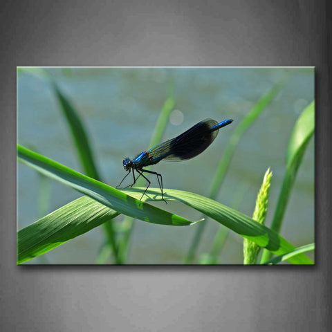 Dragonfly Stop On Green Leaf Wall Art Painting Pictures Print On Canvas Animal The Picture For Home Modern Decoration 