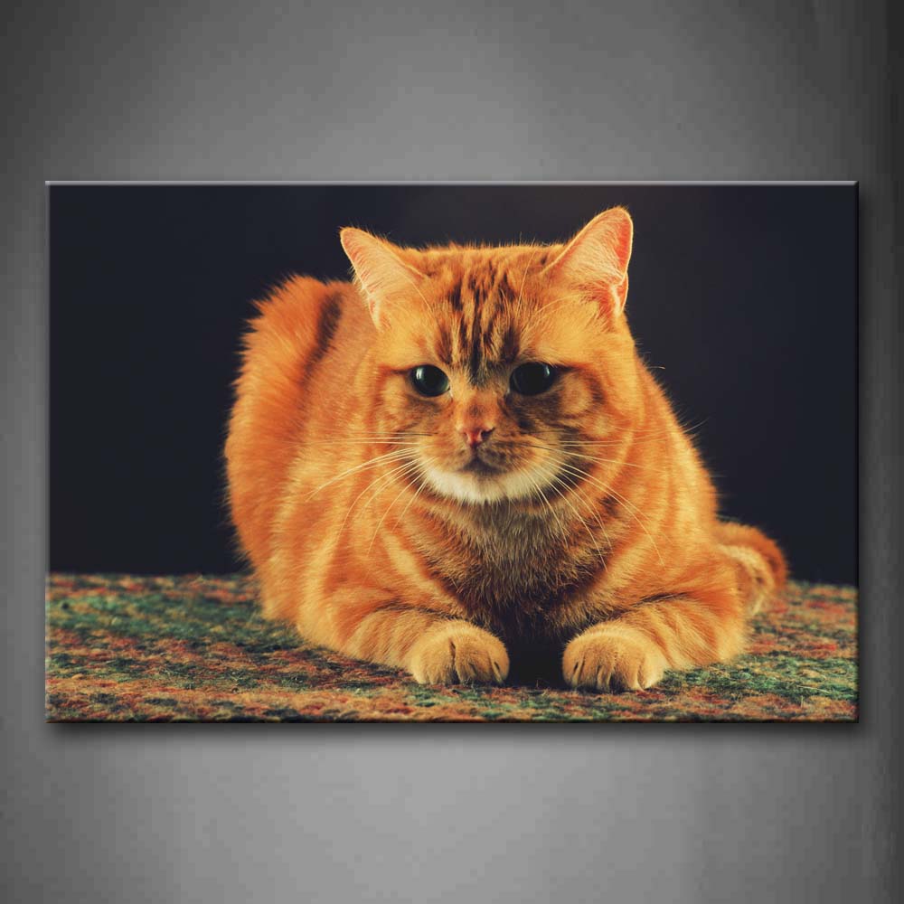 Orange Cat Sit On Blanket Wall Art Painting The Picture Print On Canvas Animal Pictures For Home Decor Decoration Gift 