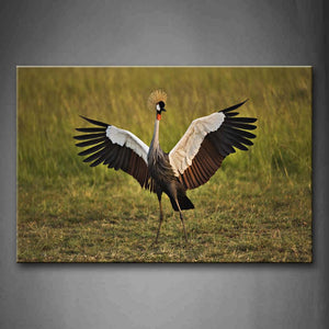 Beautiful Crane Open Feather On Grassland  Wall Art Painting Pictures Print On Canvas Animal The Picture For Home Modern Decoration 