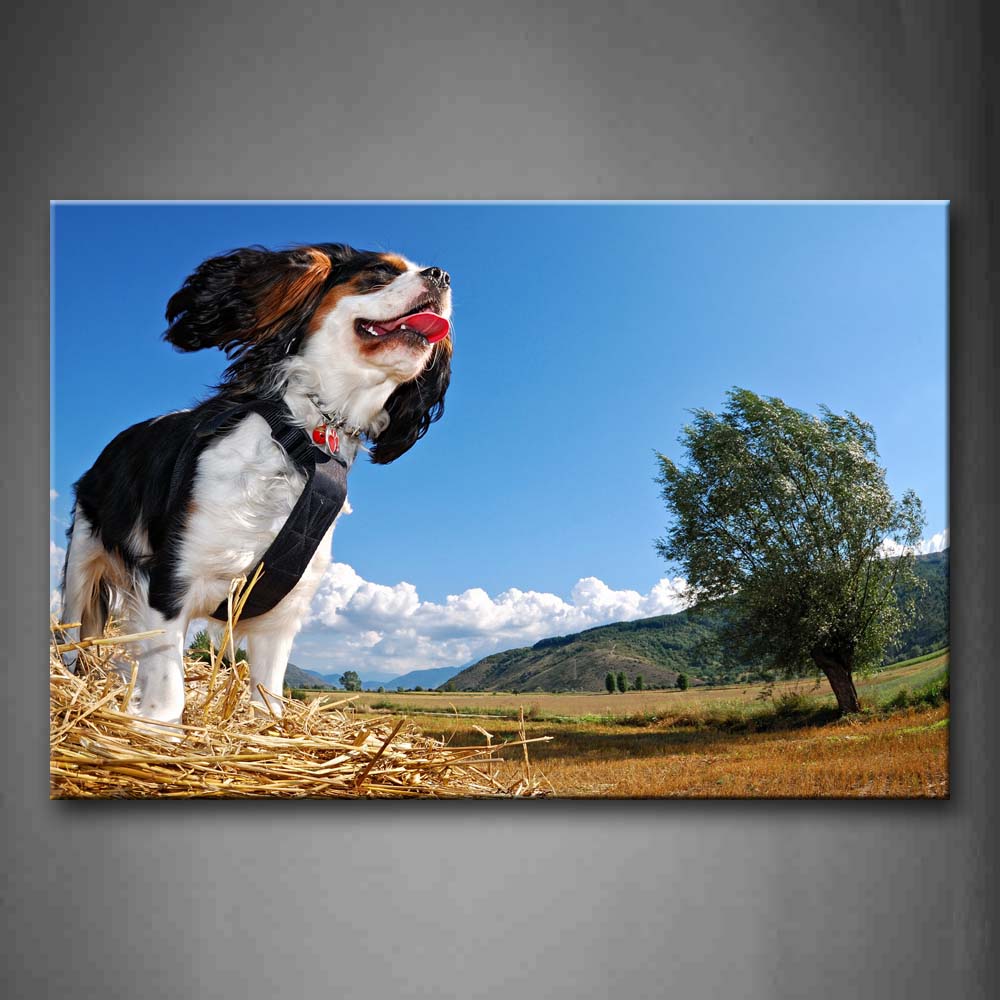 Cute Dog Stand On Mow Tree Hill Grass Wall Art Painting The Picture Print On Canvas Animal Pictures For Home Decor Decoration Gift 