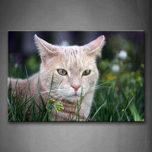 Yellow Cat In Green Grass Yellow Flower Wall Art Painting Pictures Print On Canvas Animal The Picture For Home Modern Decoration 