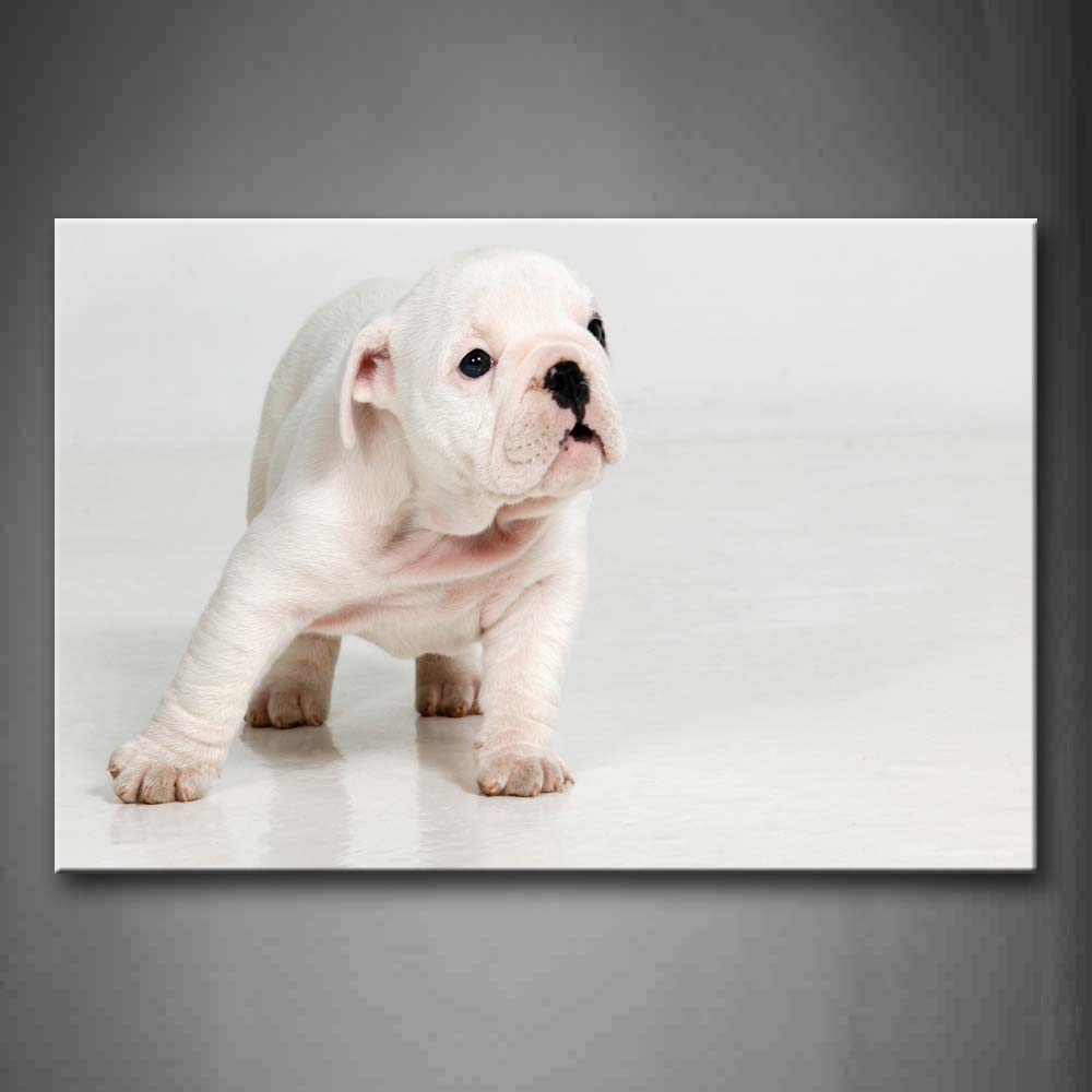 White Puppy Stand In White Background Wall Art Painting The Picture Print On Canvas Animal Pictures For Home Decor Decoration Gift 