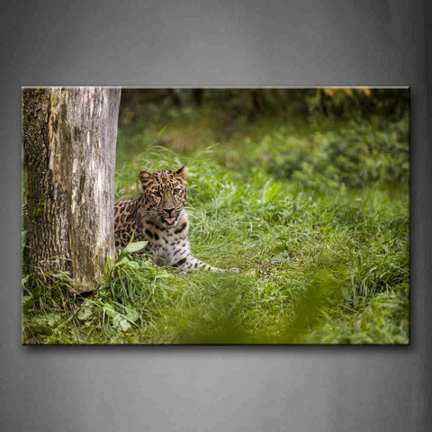 Leopard Sit On Grass Near Trunk Wall Art Painting The Picture Print On Canvas Animal Pictures For Home Decor Decoration Gift 