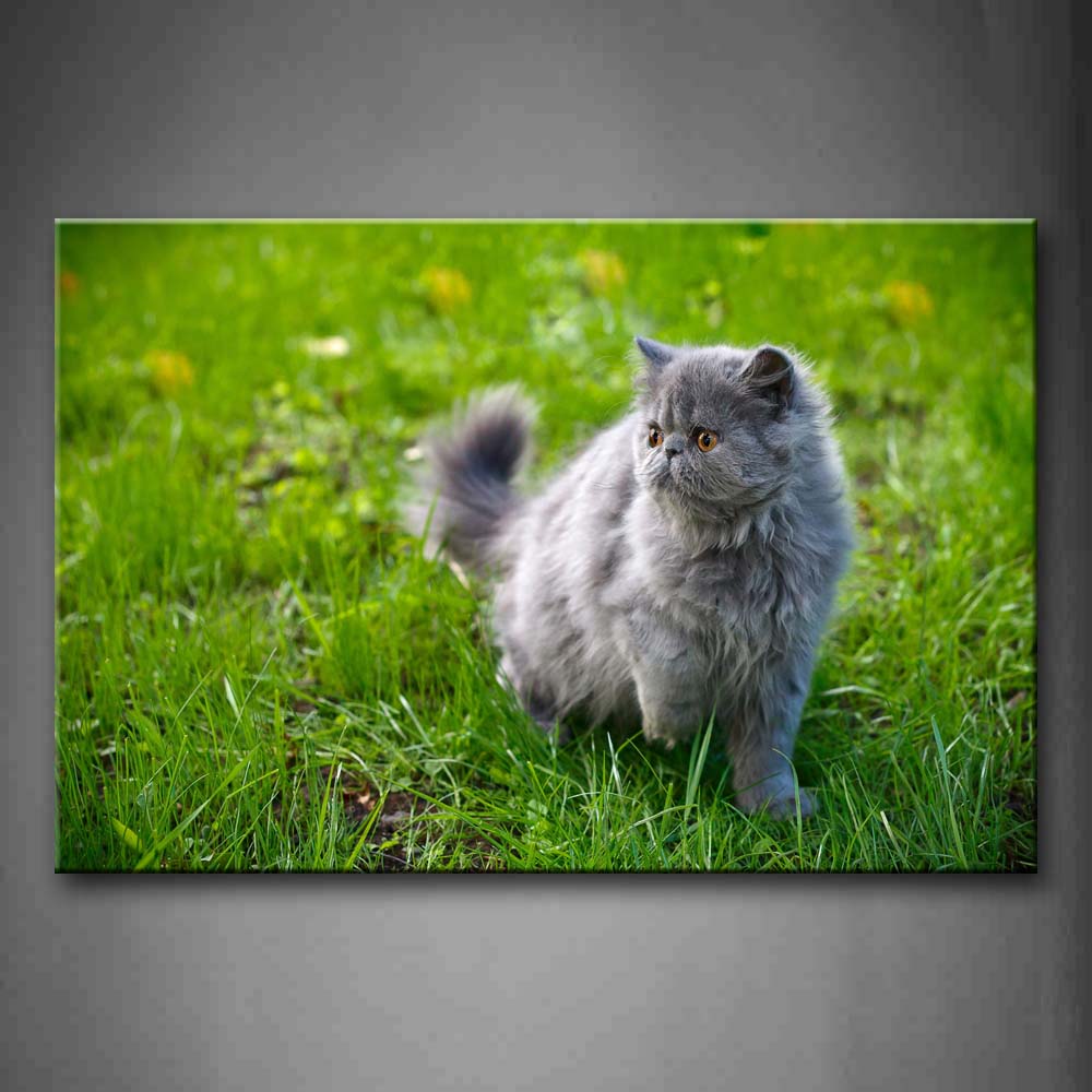 Gray Cat Walk On Grass Flower Wall Art Painting Pictures Print On Canvas Animal The Picture For Home Modern Decoration 