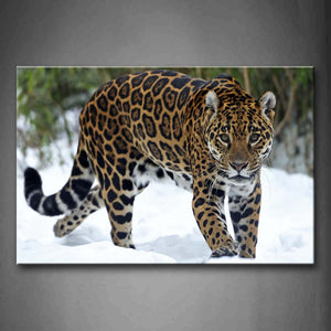 Leopard Walk On Snowfield Trees Wall Art Painting Pictures Print On Canvas Animal The Picture For Home Modern Decoration 