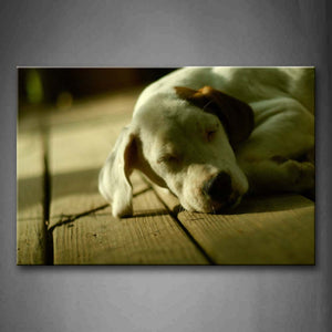 White Dog Sleep On Plank Wall Art Painting Pictures Print On Canvas Animal The Picture For Home Modern Decoration 