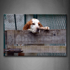 Dog Bend Over On Plank Close In Entanglement Wall Art Painting The Picture Print On Canvas Animal Pictures For Home Decor Decoration Gift 