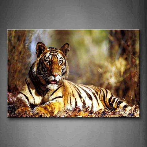 Tiger Lie On Fallen Leafs  Wall Art Painting Pictures Print On Canvas Animal The Picture For Home Modern Decoration 