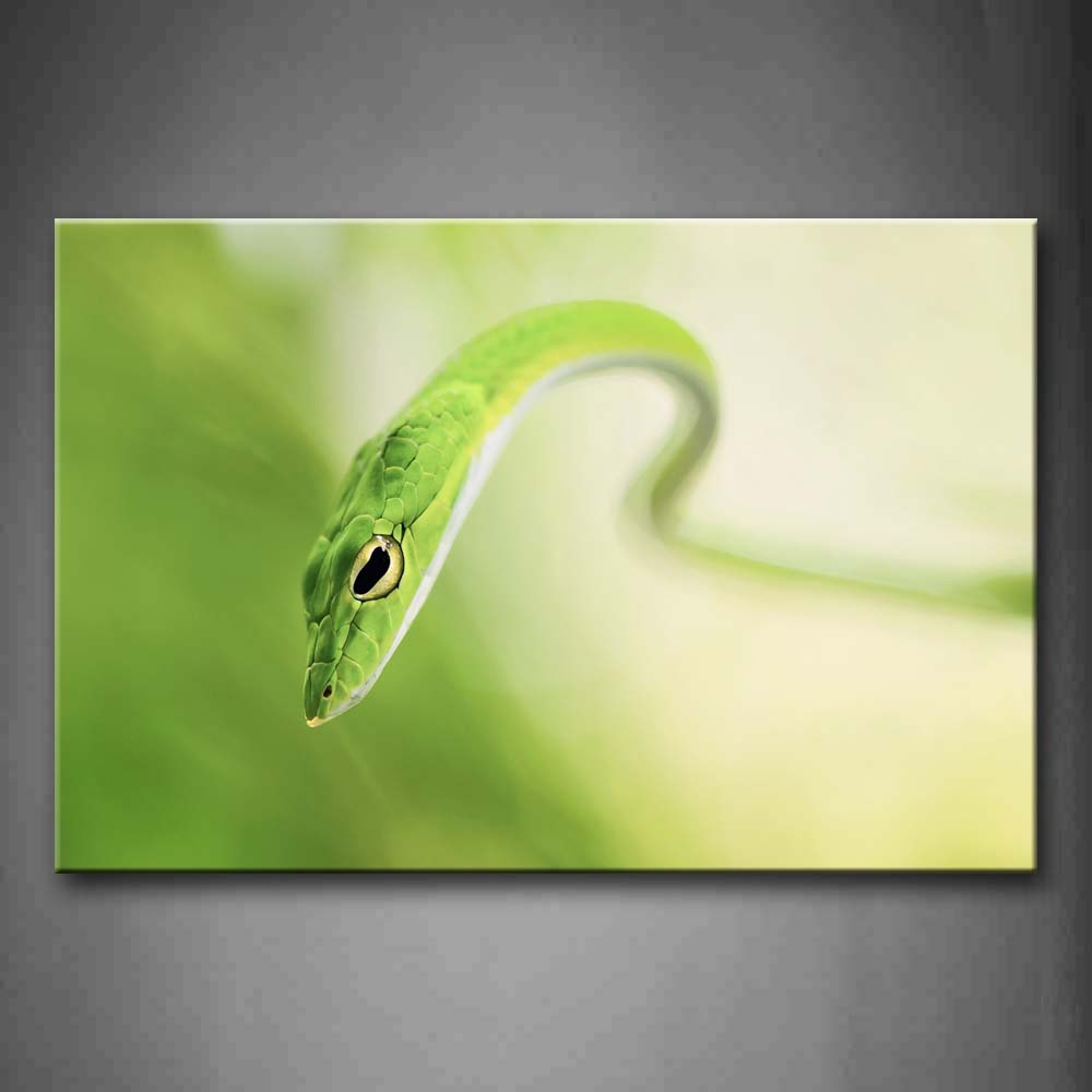 Grass Snake Portrait Wall Art Painting The Picture Print On Canvas Animal Pictures For Home Decor Decoration Gift 