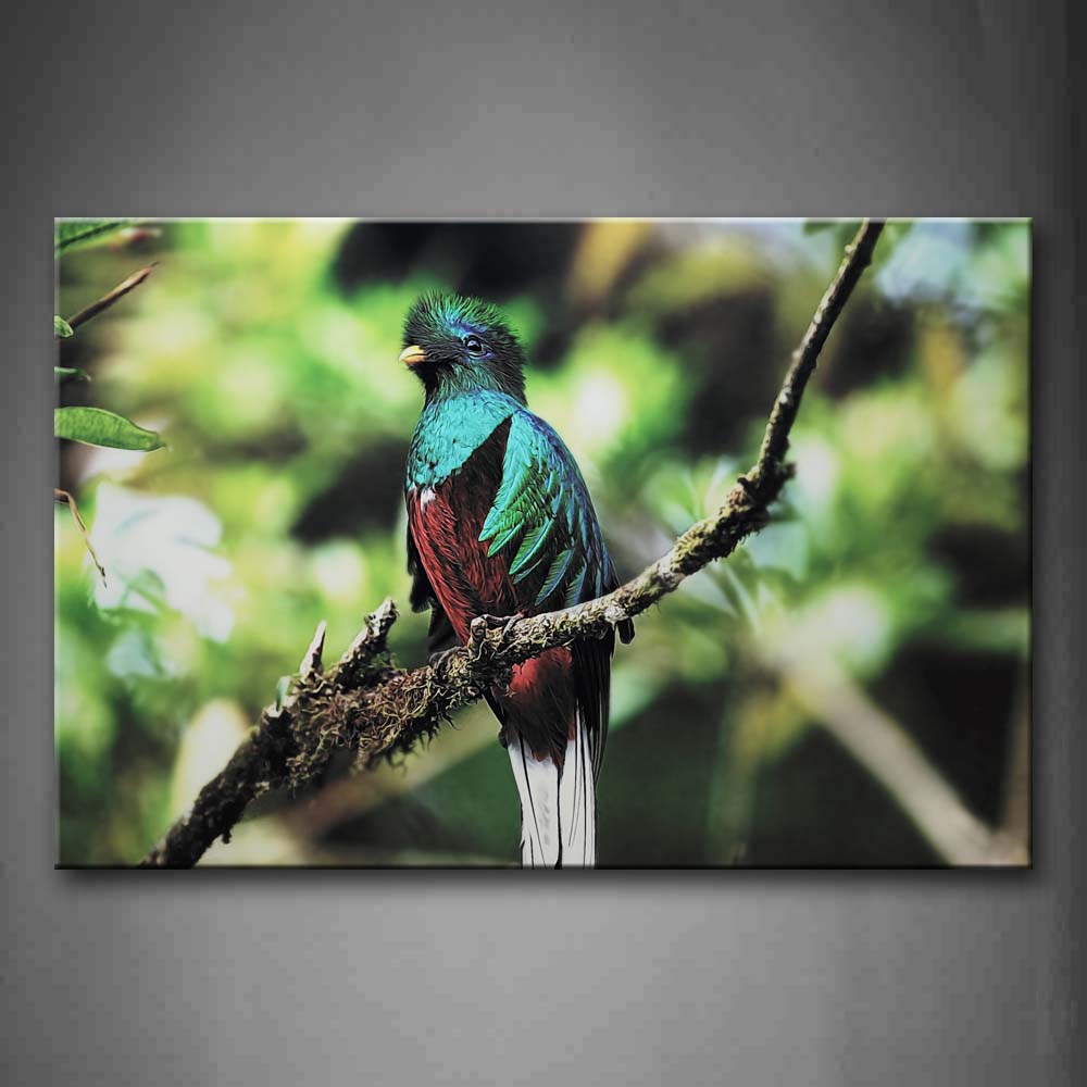 Quetzal Stand On Rotten Branch  Wall Art Painting Pictures Print On Canvas Animal The Picture For Home Modern Decoration 