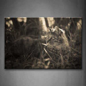 Cat Lie In Grass Wall Art Painting Pictures Print On Canvas Animal The Picture For Home Modern Decoration 