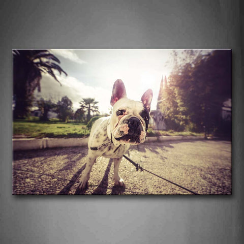 Dog Is Bind On Road Trees Lawn  Wall Art Painting The Picture Print On Canvas Animal Pictures For Home Decor Decoration Gift 