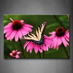 Butterfly Stop On Pink Flower Wall Art Painting Pictures Print On Canvas Animal The Picture For Home Modern Decoration 