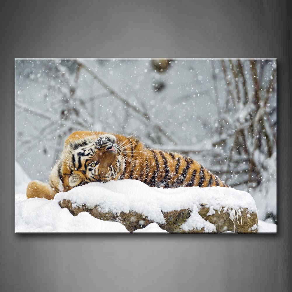 Tiger Lie On Snowfield Snowing  Wall Art Painting The Picture Print On Canvas Animal Pictures For Home Decor Decoration Gift 