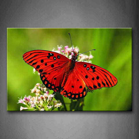 Red Butterfly Stop On Pink Flower Wall Art Painting The Picture Print On Canvas Animal Pictures For Home Decor Decoration Gift 