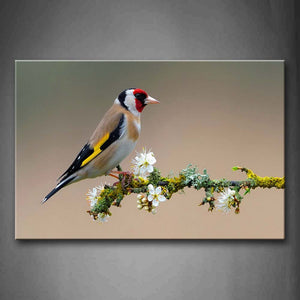 Colorful Bird Stand On Branch White Flower Moss Wall Art Painting Pictures Print On Canvas Animal The Picture For Home Modern Decoration 