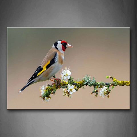 Colorful Bird Stand On Branch White Flower Moss Wall Art Painting Pictures Print On Canvas Animal The Picture For Home Modern Decoration 