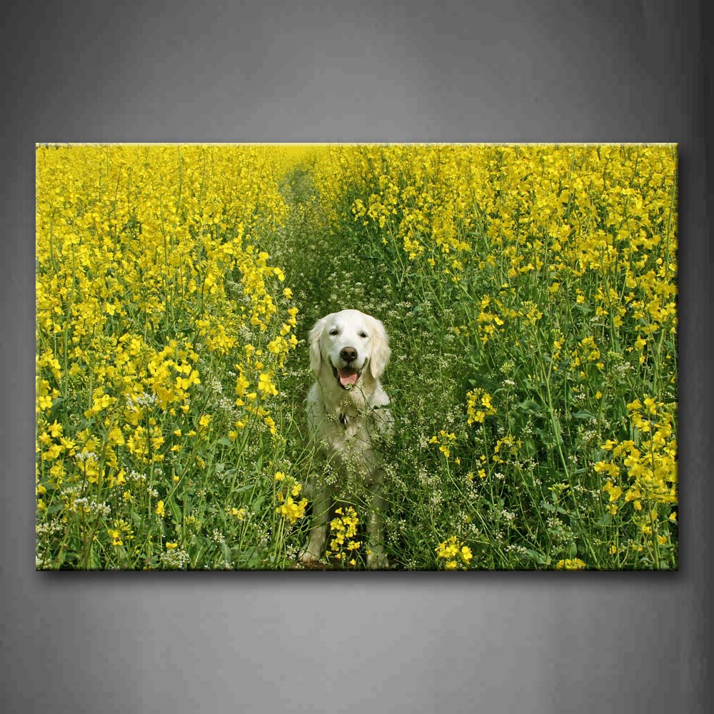 Dog Stand Between Yellow Flower Wall Art Painting The Picture Print On Canvas Animal Pictures For Home Decor Decoration Gift 