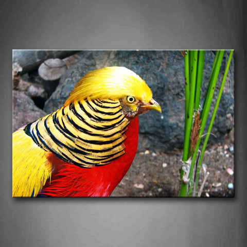 Golden Pheasant Near Green Plant Rock Wall Art Painting Pictures Print On Canvas Animal The Picture For Home Modern Decoration 