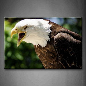 Bald Eagle Portrait Howl  Wall Art Painting The Picture Print On Canvas Animal Pictures For Home Decor Decoration Gift 