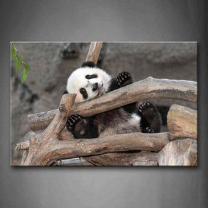 Panda Sit In Big Dry Branches Wall Art Painting Pictures Print On Canvas Animal The Picture For Home Modern Decoration 