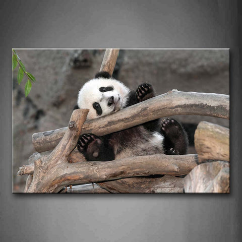 Panda Sit In Big Dry Branches Wall Art Painting Pictures Print On Canvas Animal The Picture For Home Modern Decoration 